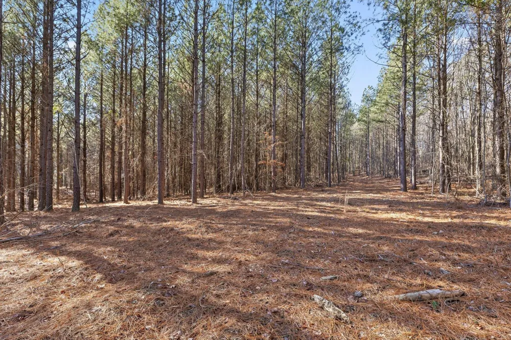 0 Wildlife Way Guild, TN 37340