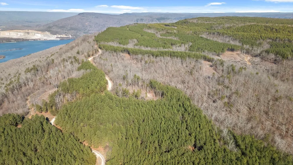 0 Wildlife Way Guild, TN 37340