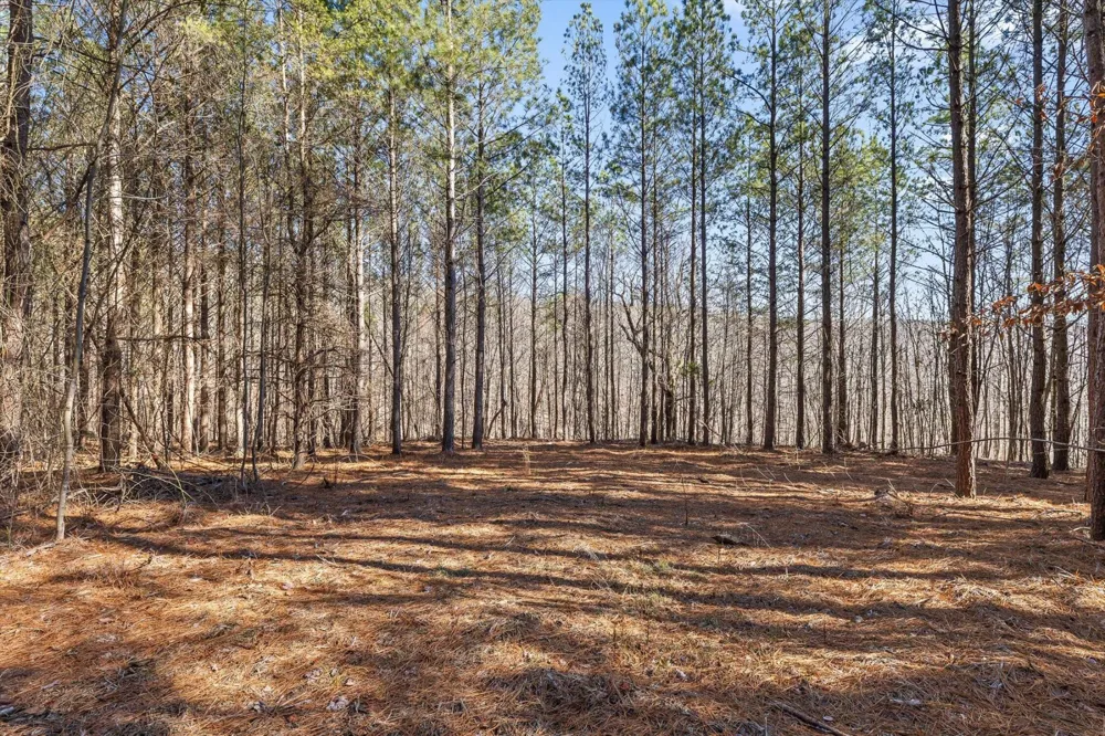 0 Wildlife Way Guild, TN 37340