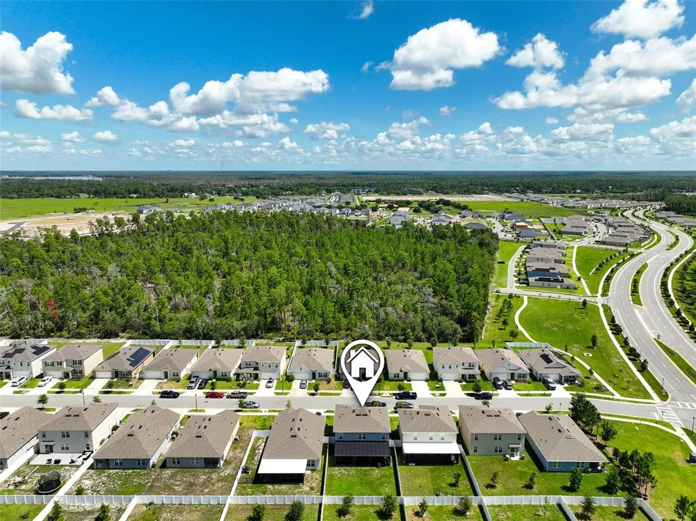 2533 HARMONIA HAMMOCK ROAD St Cloud, FL 34773