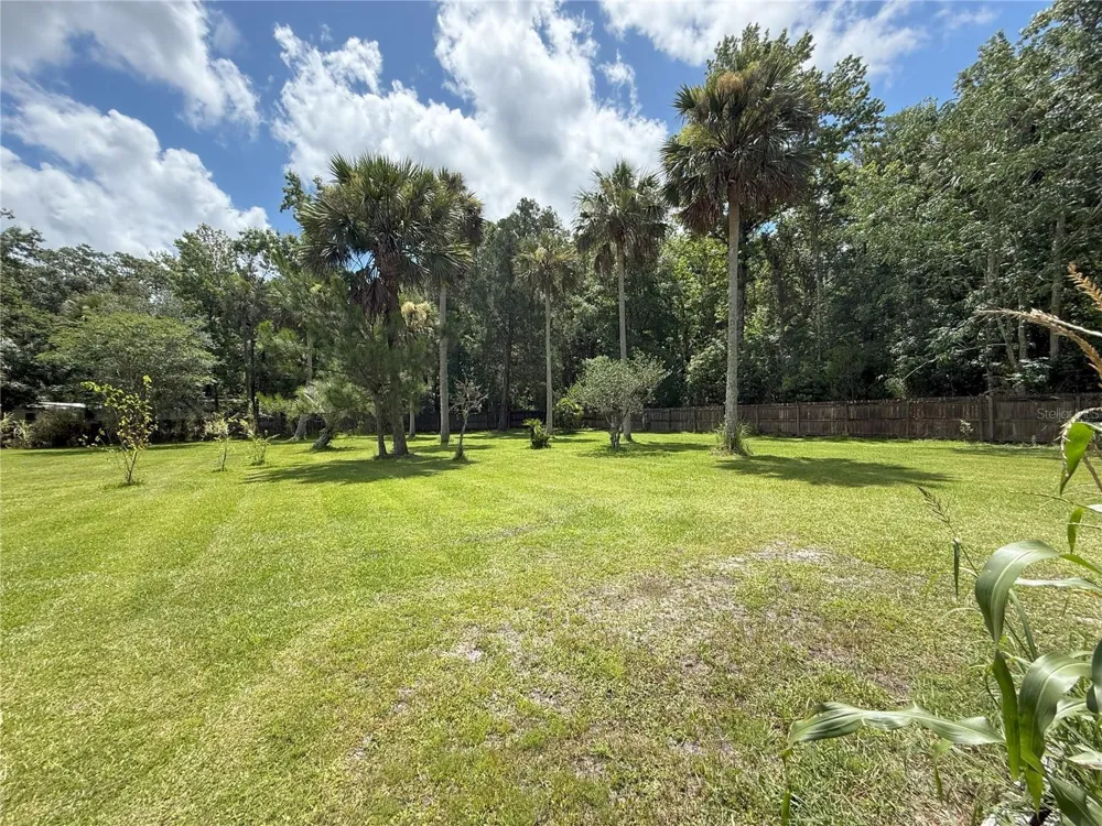 3841 ARBOR AVENUE Bunnell, FL 32110