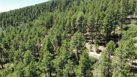 190 Jackalope Drive