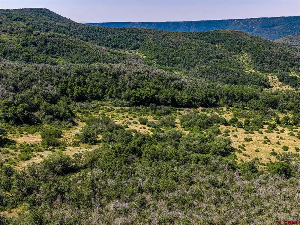 Johnson Road Paonia, CO 81428