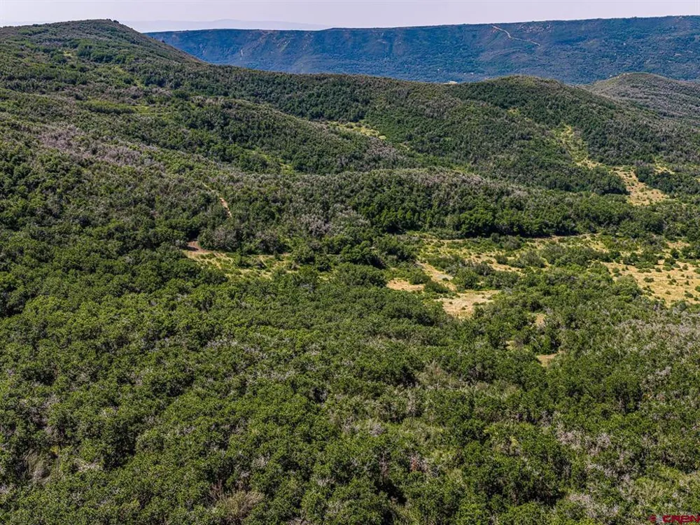 Johnson Road Paonia, CO 81428