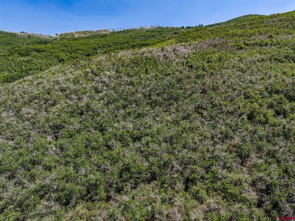 Johnson Road Paonia, CO 81428