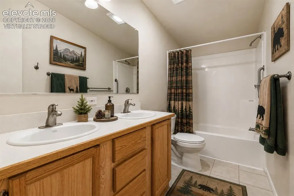 331 Rhyolite Lane Florissant, CO 80816
