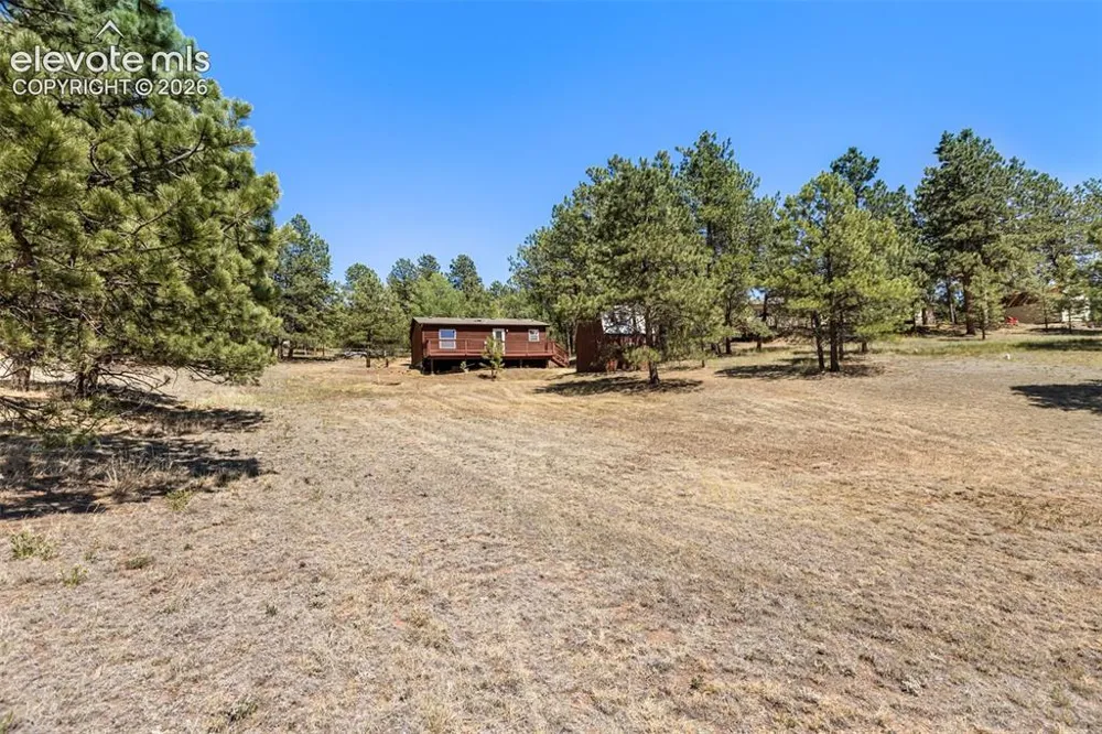 331 Rhyolite Lane Florissant, CO 80816
