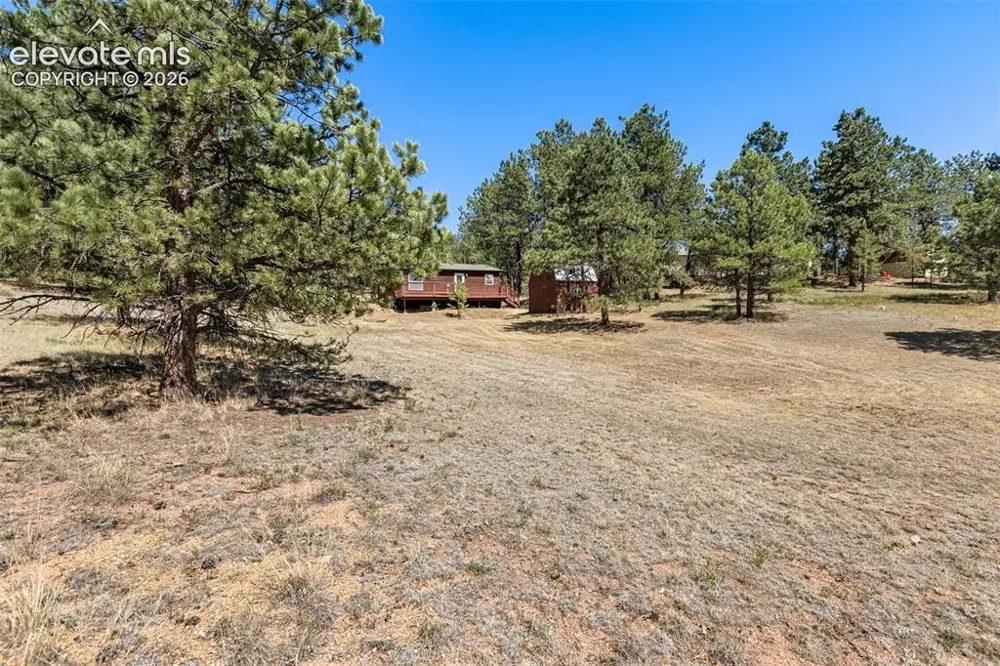 331 Rhyolite Lane Florissant, CO 80816