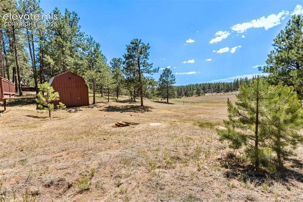 331 Rhyolite Lane Florissant, CO 80816