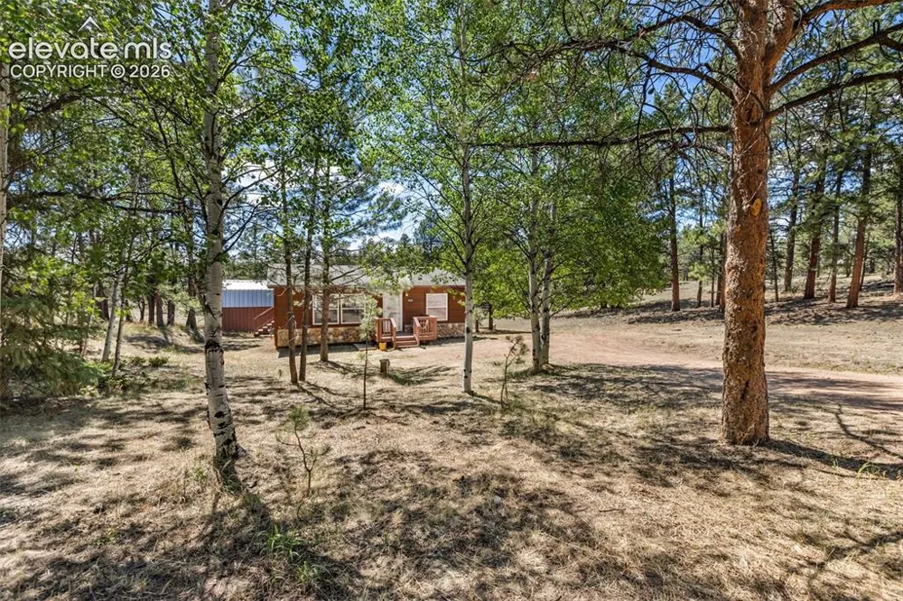331 Rhyolite Lane Florissant, CO 80816