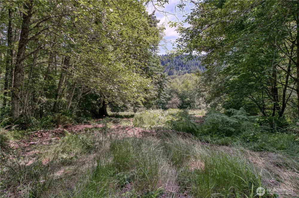10611 33rd Avenue Ct NW Gig Harbor, WA 98332
