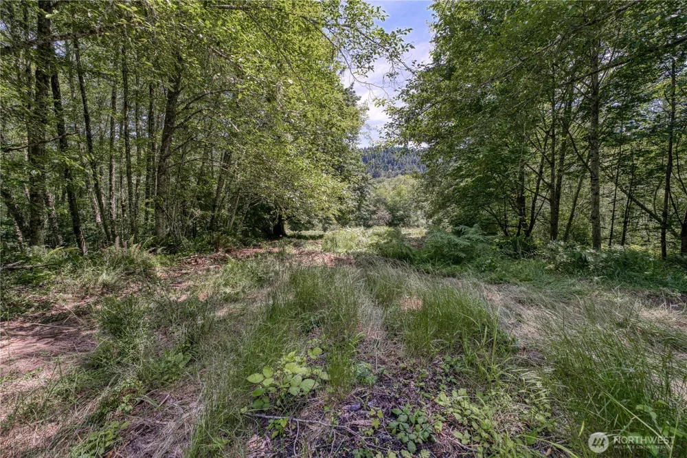 10611 33rd Avenue Ct NW Gig Harbor, WA 98332