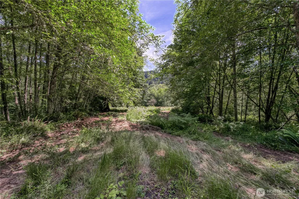 10611 33rd Avenue Ct NW Gig Harbor, WA 98332