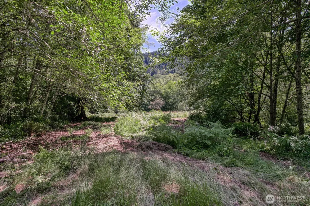 10611 33rd Avenue Ct NW Gig Harbor, WA 98332