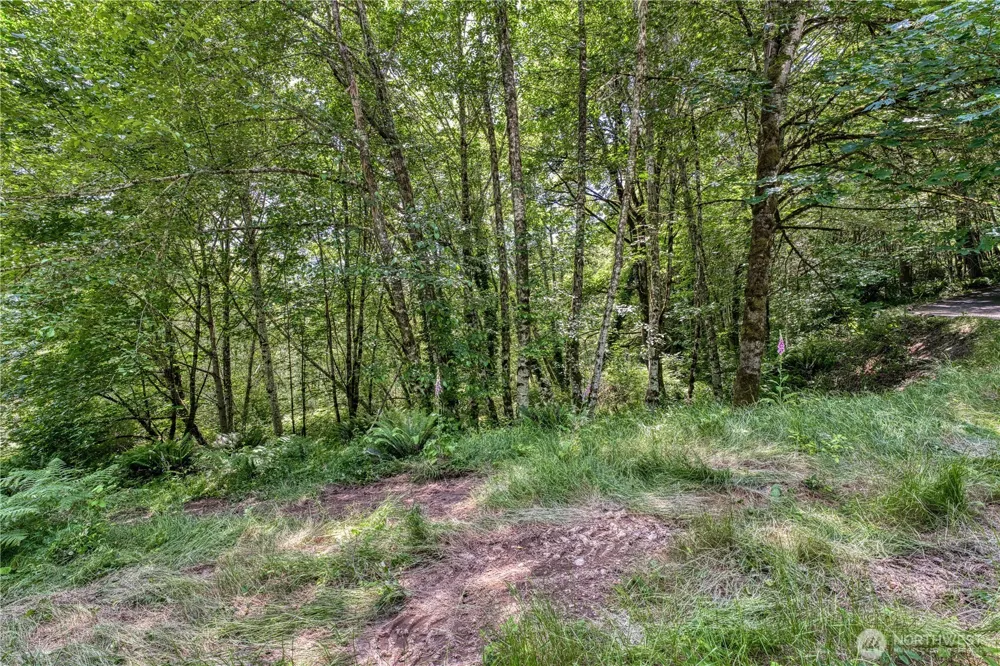 10611 33rd Avenue Ct NW Gig Harbor, WA 98332