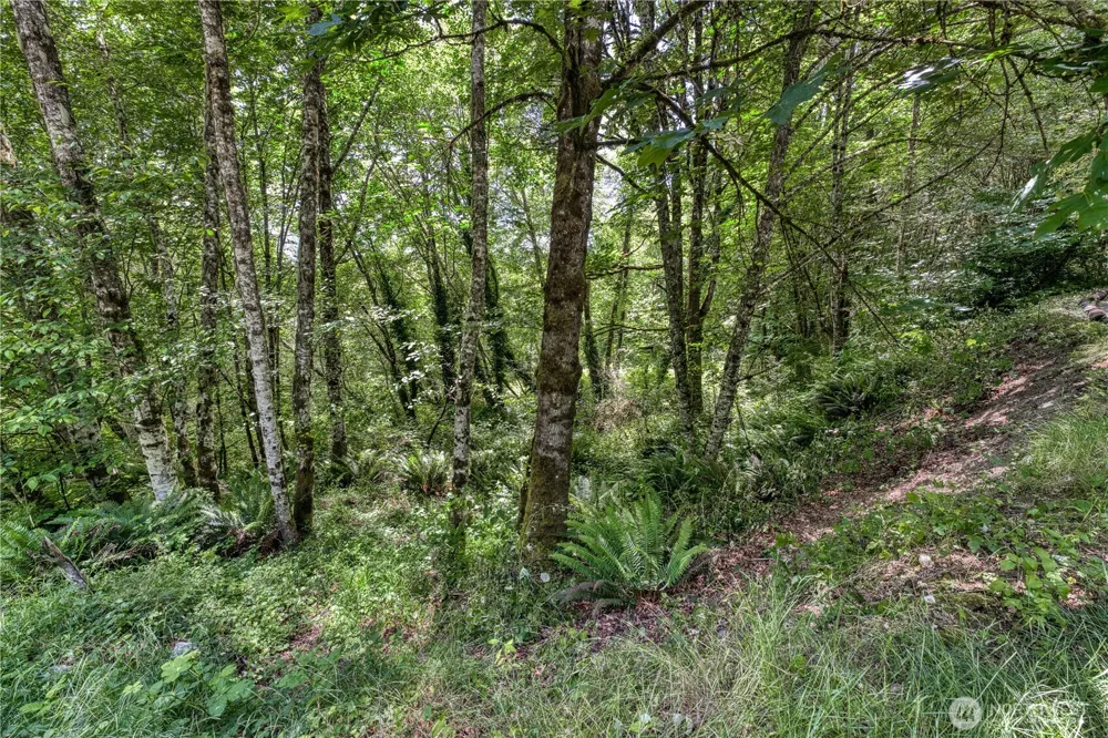 10611 33rd Avenue Ct NW Gig Harbor, WA 98332