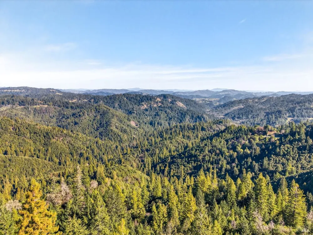 22510 Fort Ross Road Cazadero, CA 95421