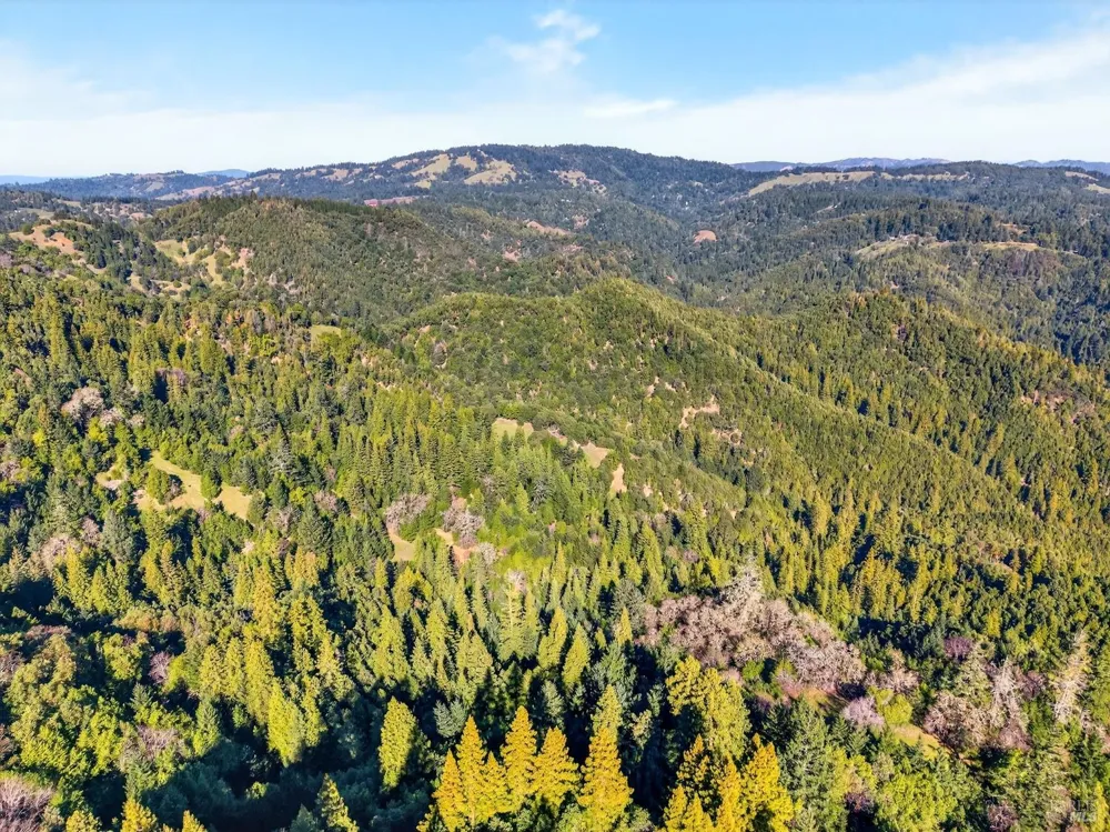 22510 Fort Ross Road Cazadero, CA 95421
