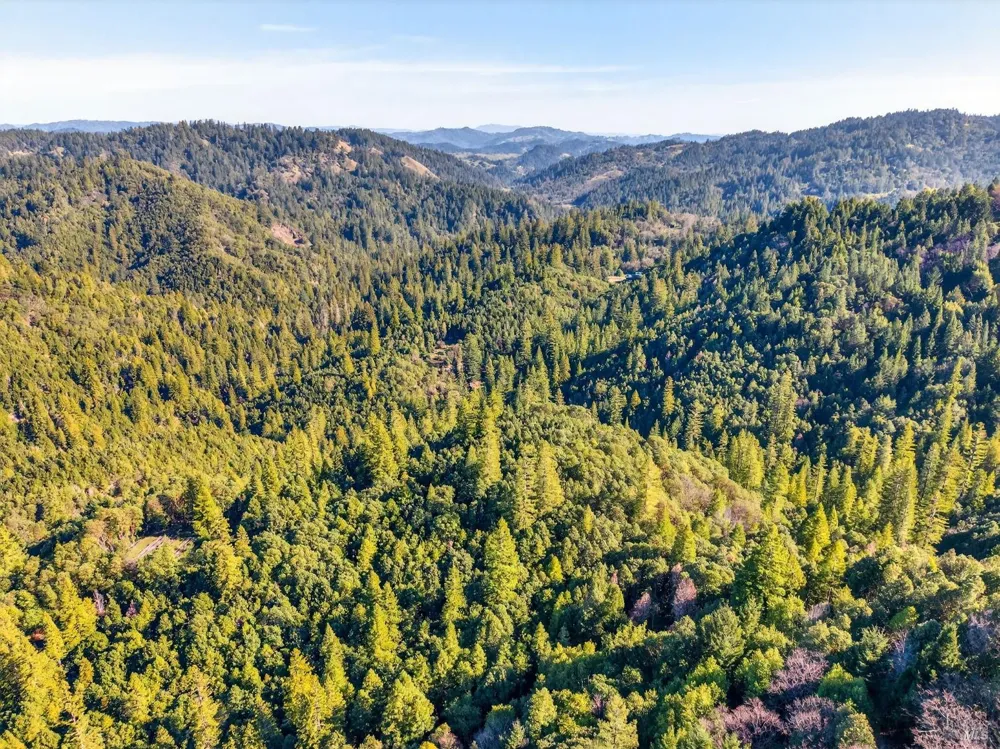 22510 Fort Ross Road Cazadero, CA 95421