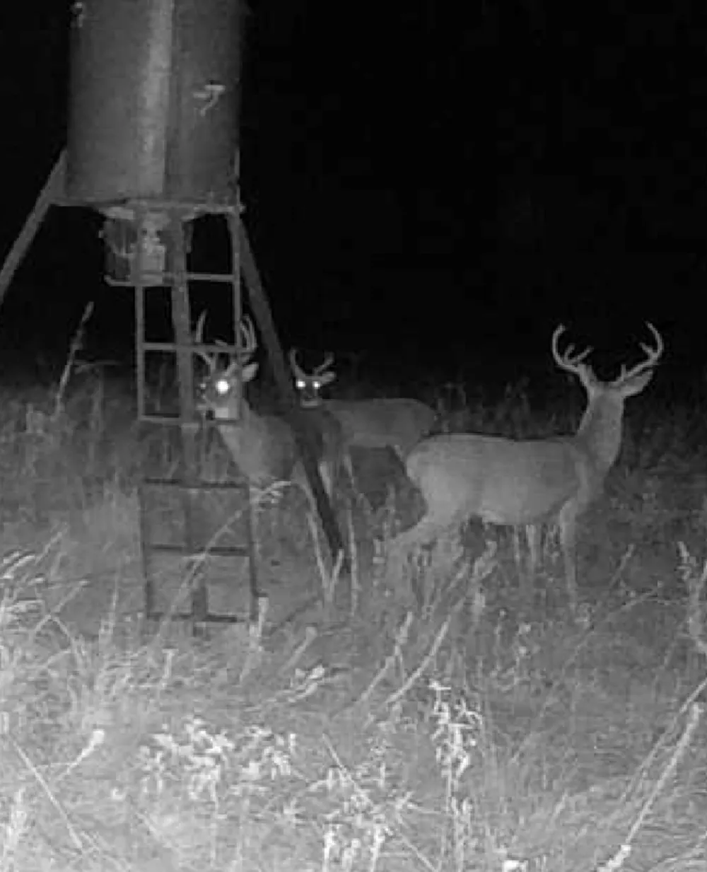 1510 FM 2649 Lone Oak, TX 75453