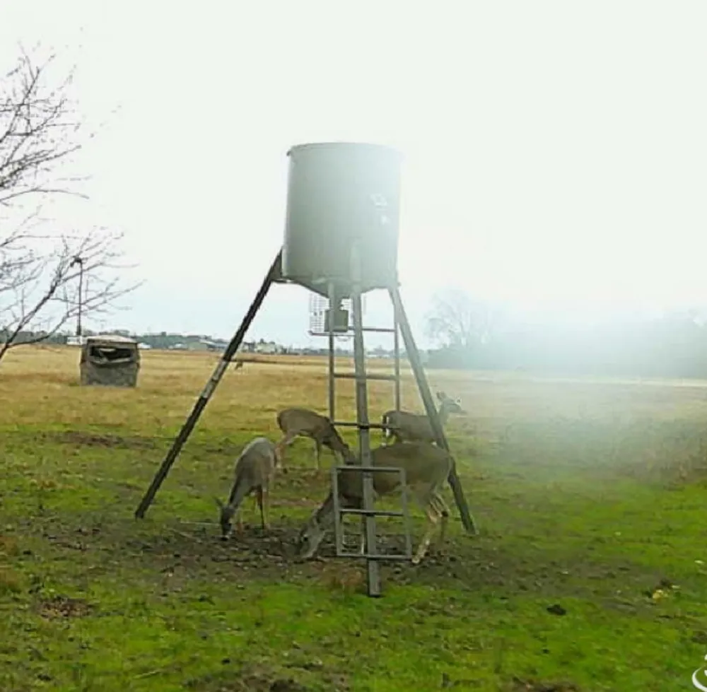 1510 FM 2649 Lone Oak, TX 75453