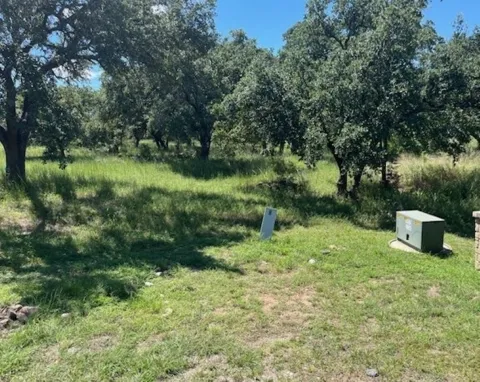 1114 Blister Gold Road
