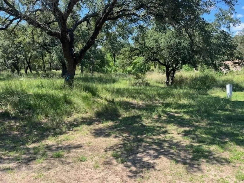 1114 Blister Gold Road Horseshoe Bay, TX 78657