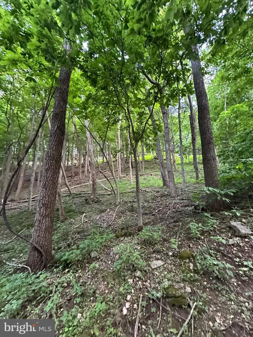 219 EBY DRIVE Petersburg, WV 26847