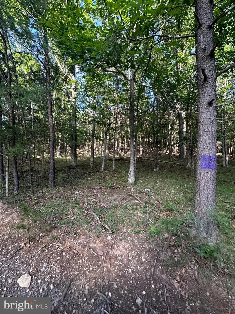 219 EBY DRIVE Petersburg, WV 26847