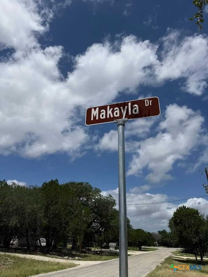 1008 Makayla Drive #10/12/14 Canyon Lake, TX 78133