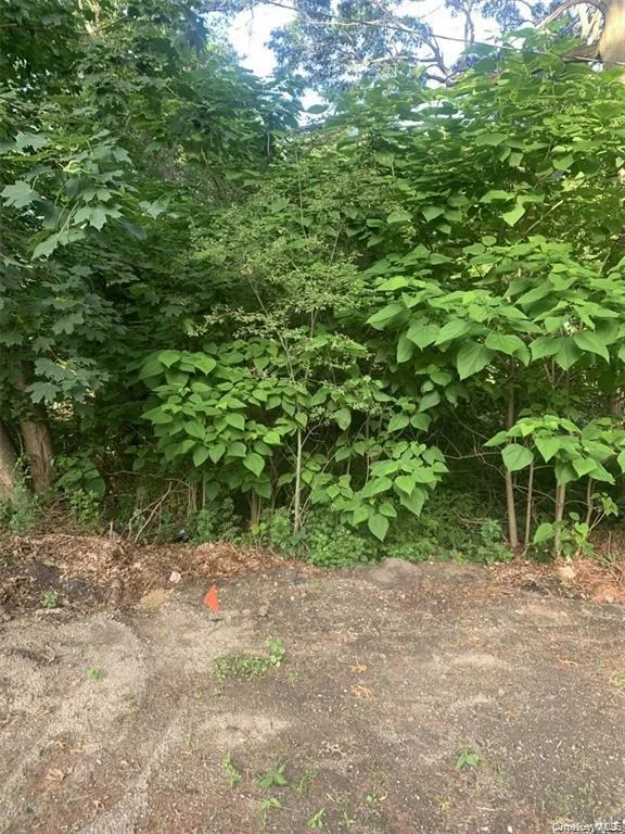 Roosevelt Boulevard Hauppauge, NY 11788