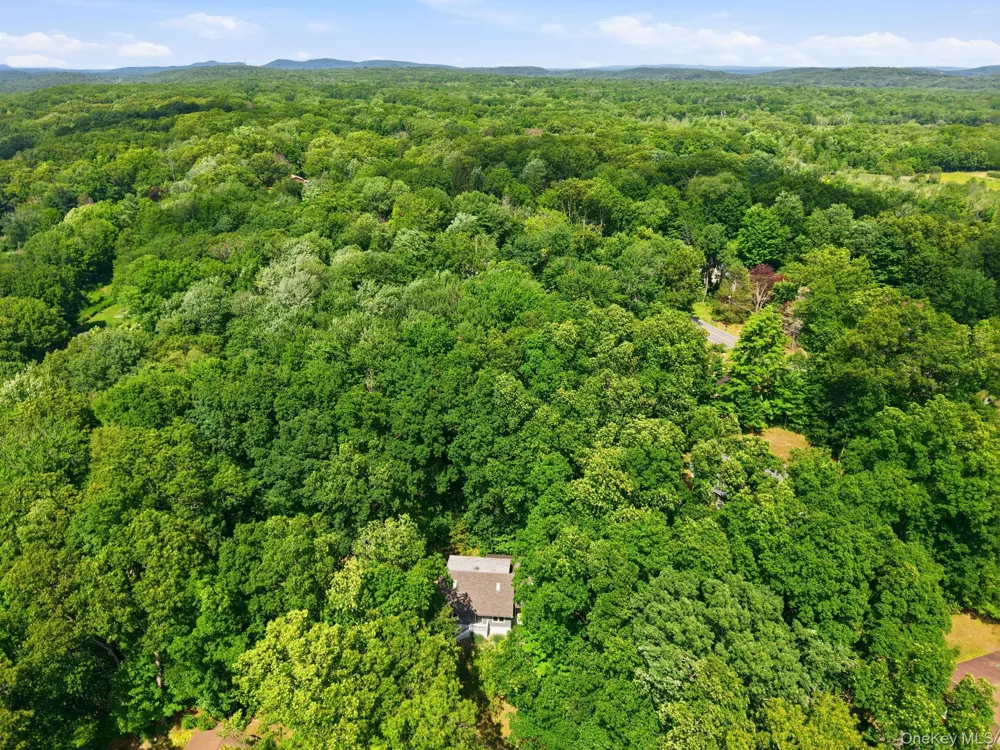 3 Dogwood Hollow New Paltz, NY 12561