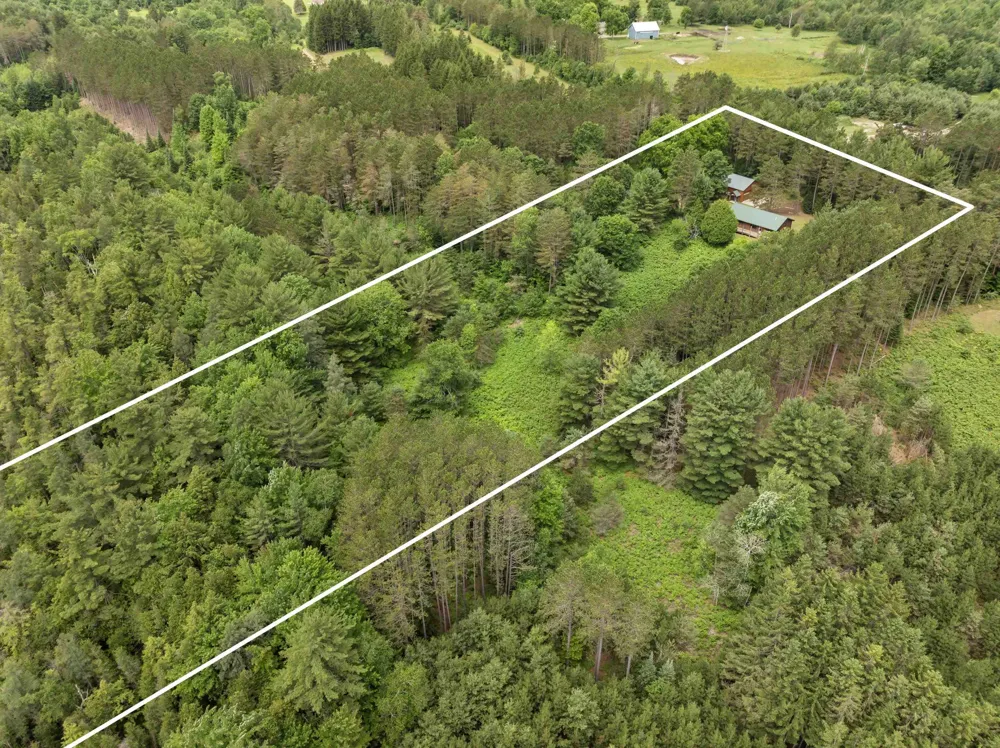 19603 Cinder Road Inland Township, MI 49643