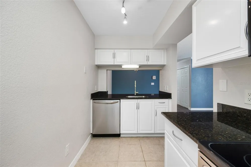 3300 HAVILAND COURT #104 Palm Harbor, FL 34684