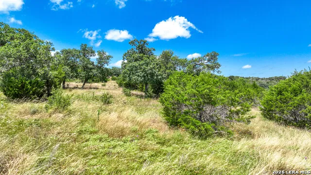 230 Adkins Dr Kerrville, TX 78028