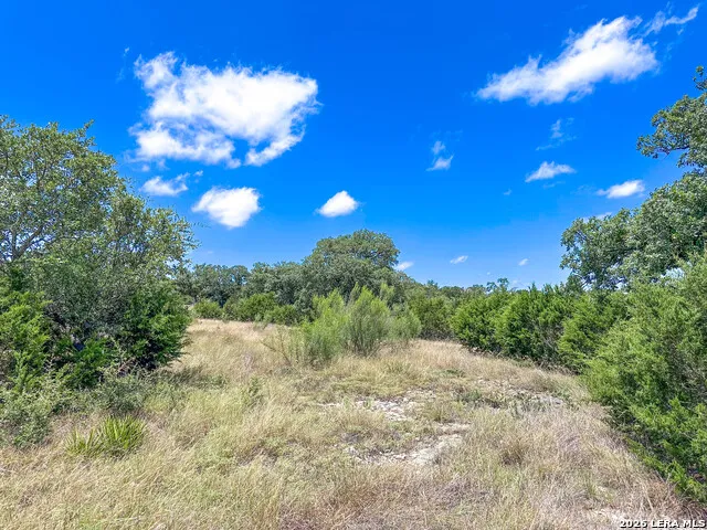 230 Adkins Dr Kerrville, TX 78028
