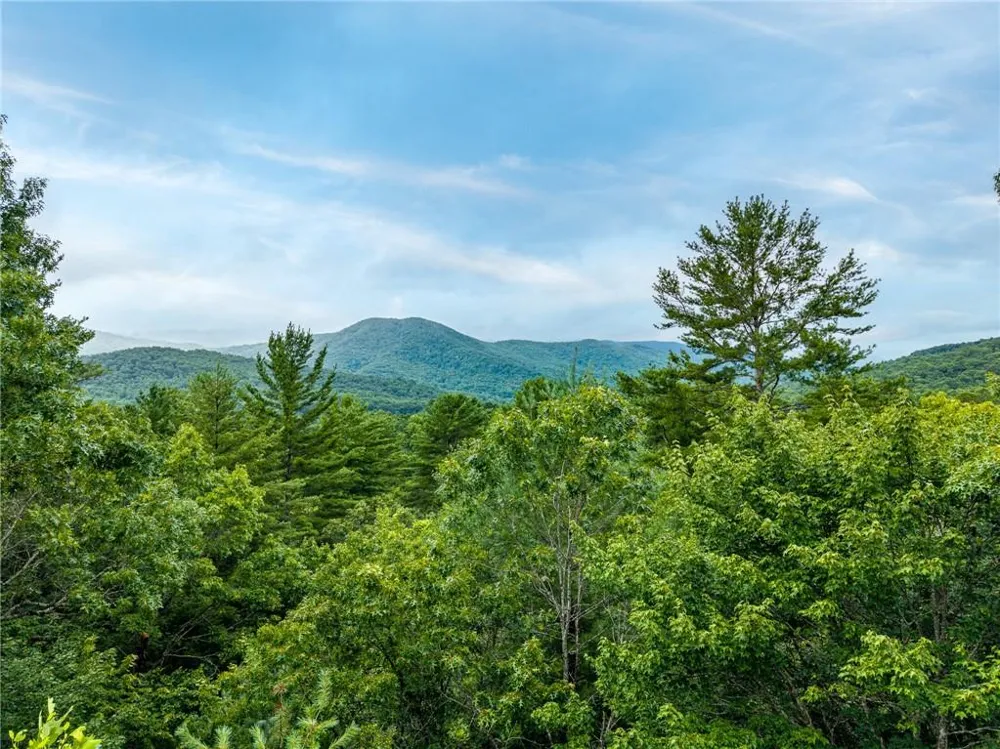51 Hightower Trail Hiawassee, GA 30546