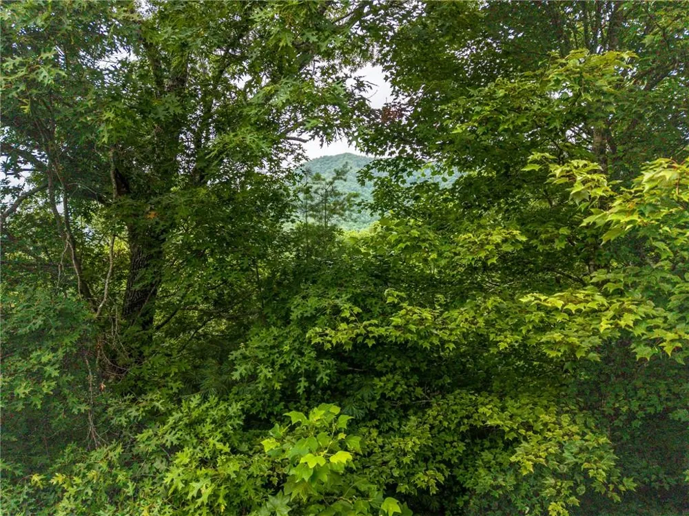 51 Hightower Trail Hiawassee, GA 30546