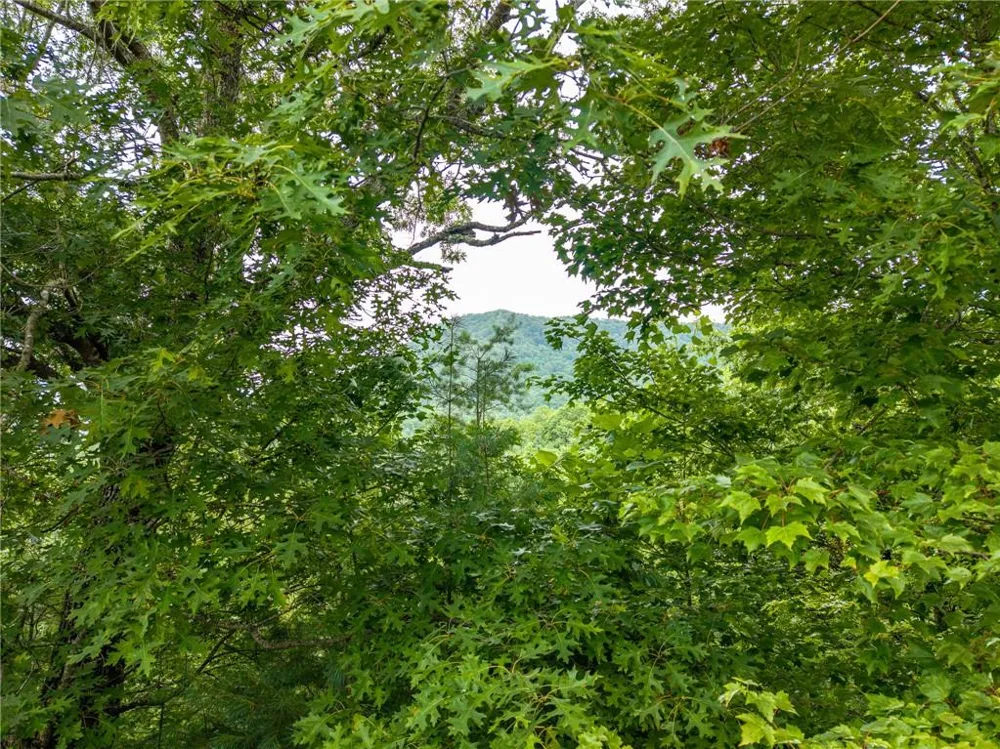 51 Hightower Trail Hiawassee, GA 30546