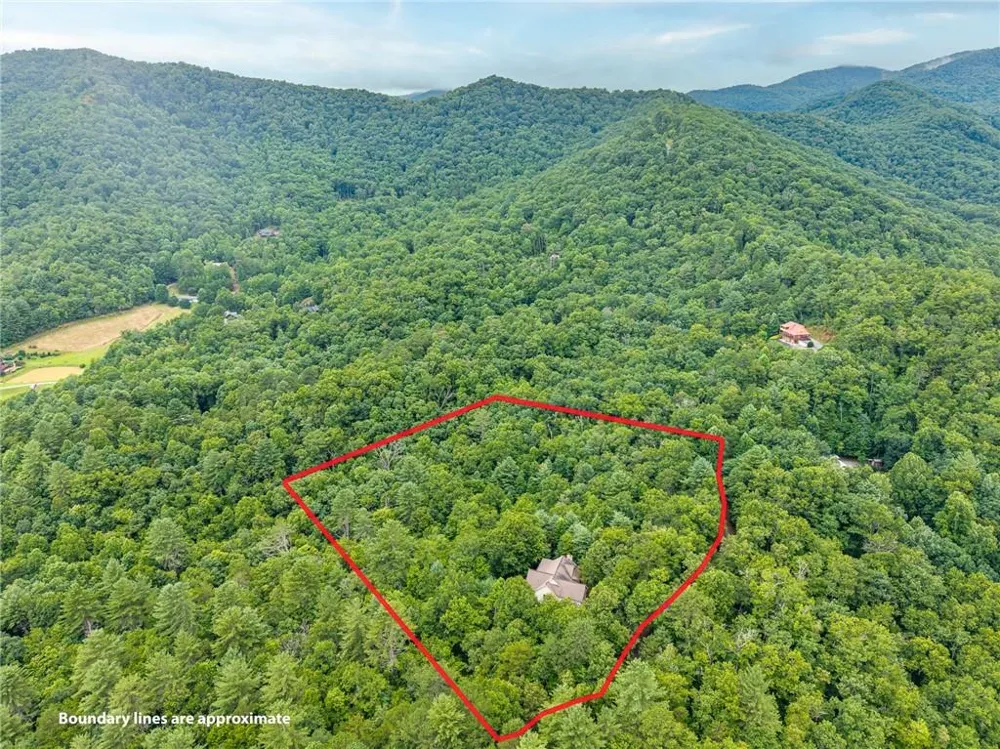 51 Hightower Trail Hiawassee, GA 30546