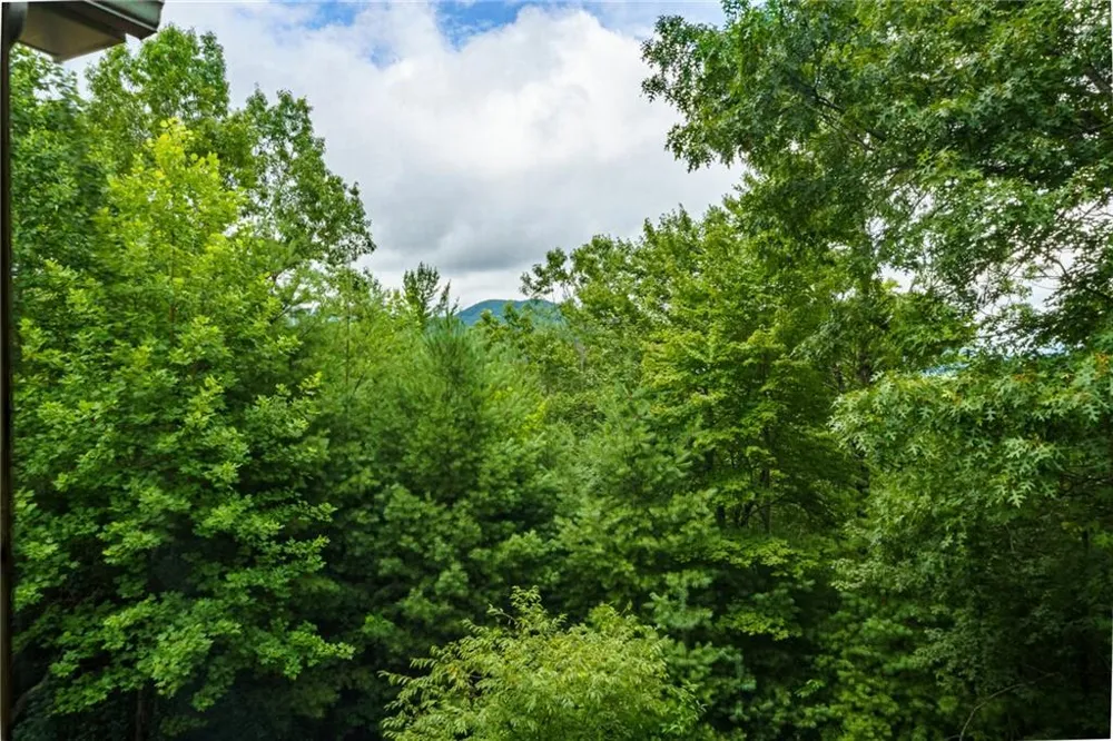 51 Hightower Trail Hiawassee, GA 30546