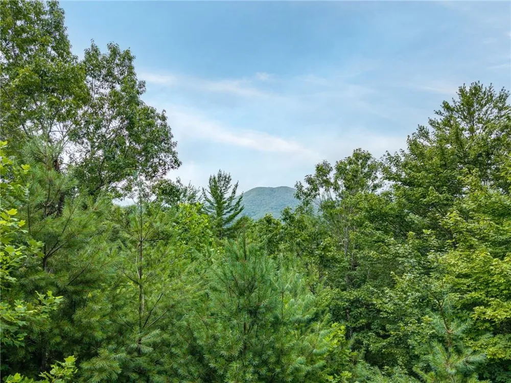51 Hightower Trail Hiawassee, GA 30546