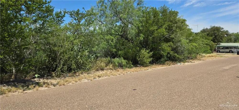 5323 San Pascual Lane Zapata, TX 78076