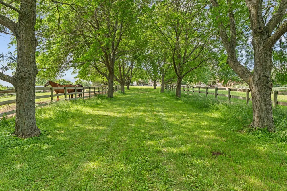 9060 County Road 26 Minnetrista, MN 55359