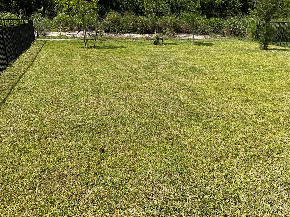 456 Cherimoya Street Fort Pierce, FL 34981