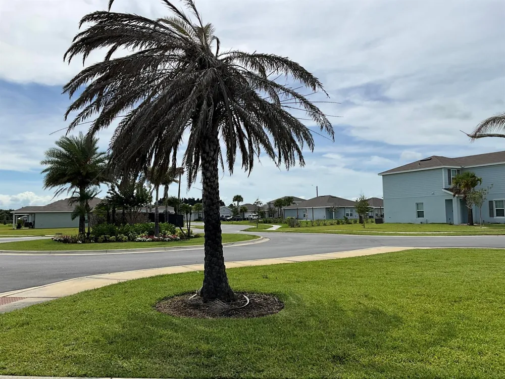 456 Cherimoya Street Fort Pierce, FL 34981