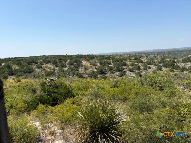 10 WINCHESTER ROAD #10B Del Rio, TX 78840