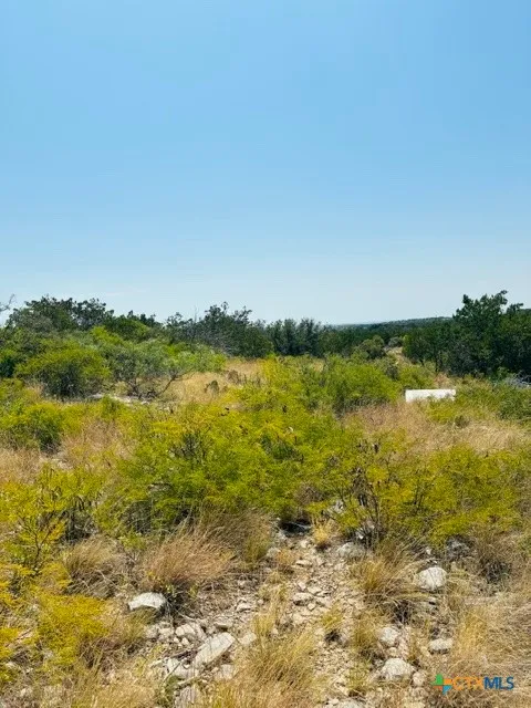 10 WINCHESTER ROAD #10B Del Rio, TX 78840