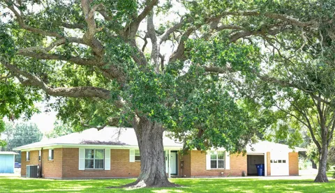 402 Peach Point Road