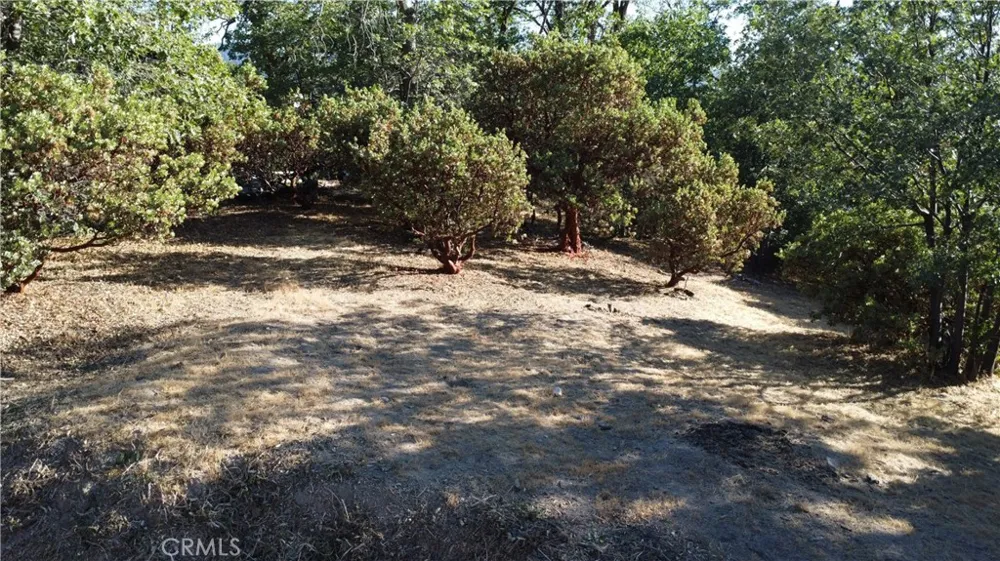 1248 Glacier Drive Lake Arrowhead, CA 92352